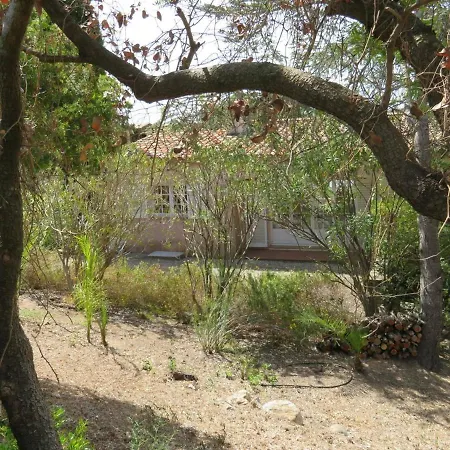 Maison Bormes-les-Mimosas, 5 pièces, 9 personnes - FR-1-610-53 Bormes-les-Mimosas